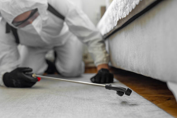 Professional Bed Bug Control technician working in Middleton, WI
